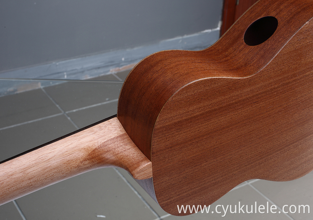 ukulele10 ukulele10